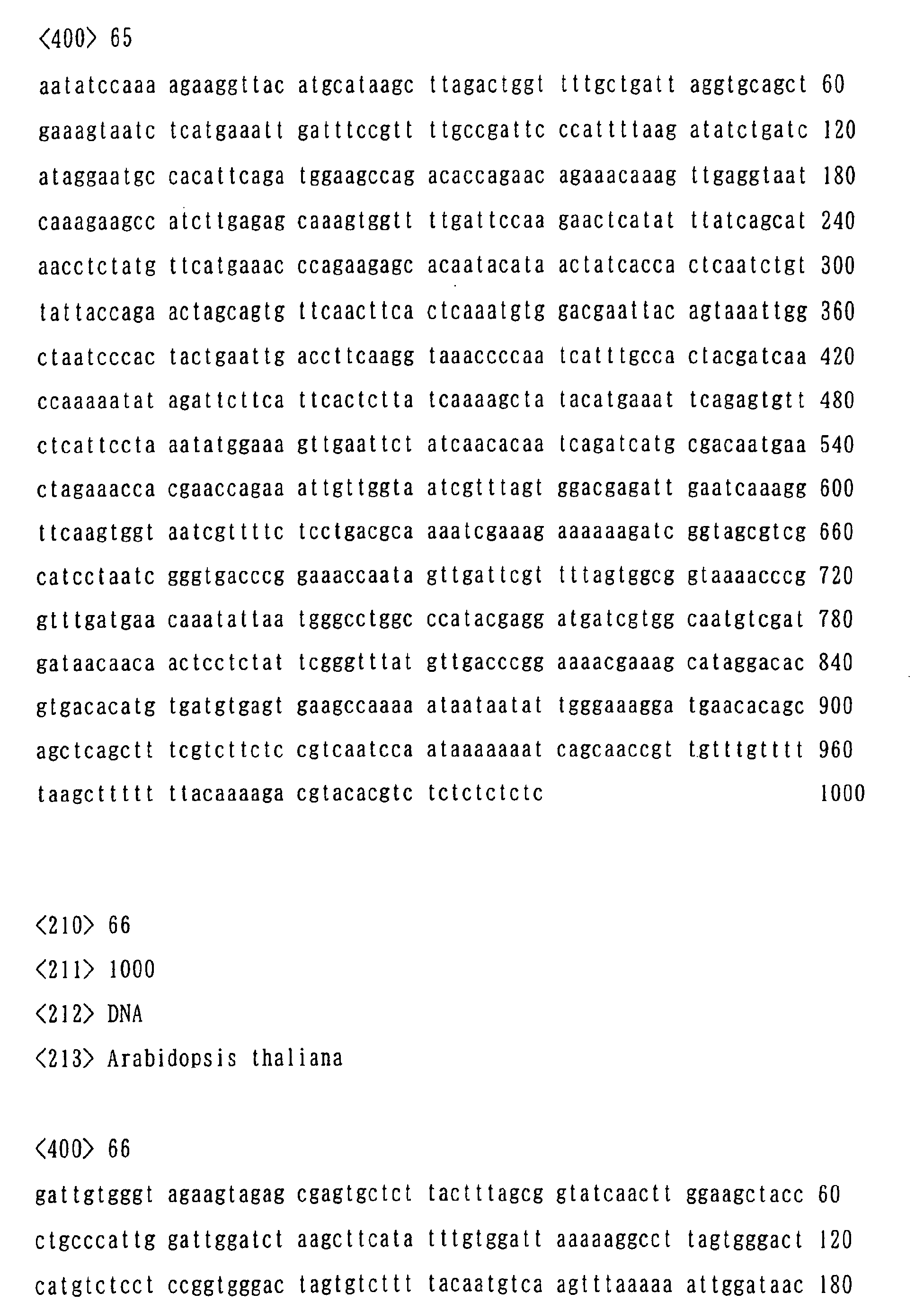 Figure 01220001