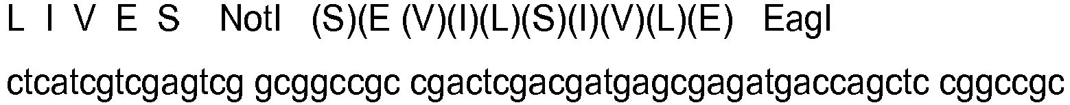 Figure imgb0006