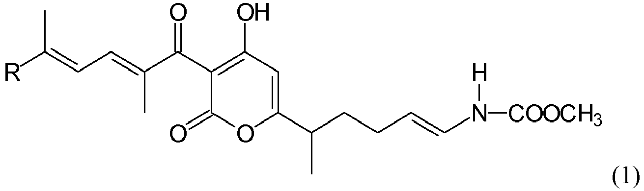 Figure imgb0011