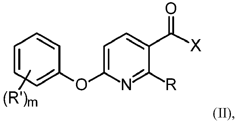 Figure imga0002
