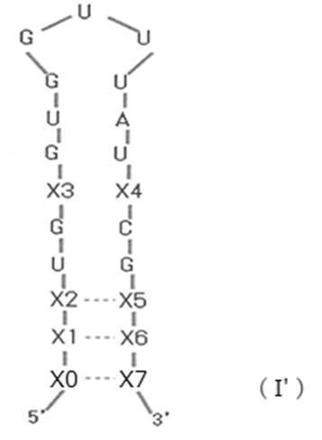 Figure JPOXMLDOC01-appb-C000004