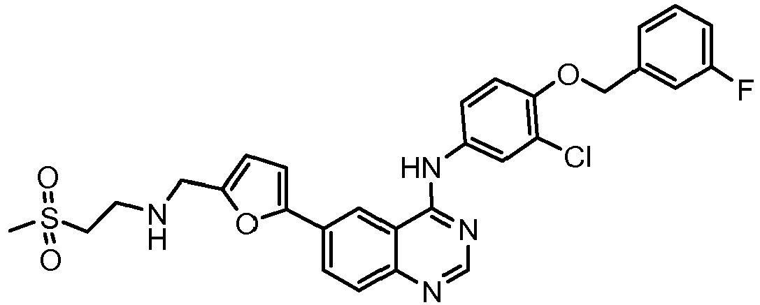 Figure imgb0004