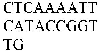 Figure imgb0025
