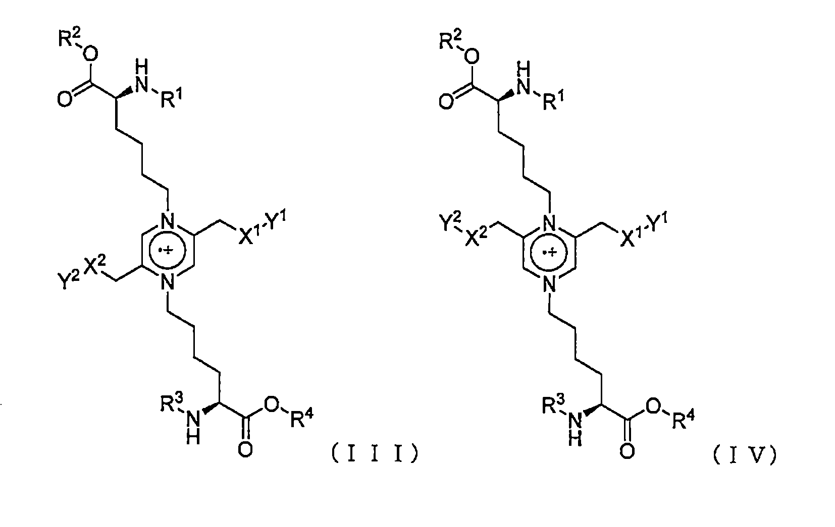Figure JPOXMLDOC01-appb-C000026