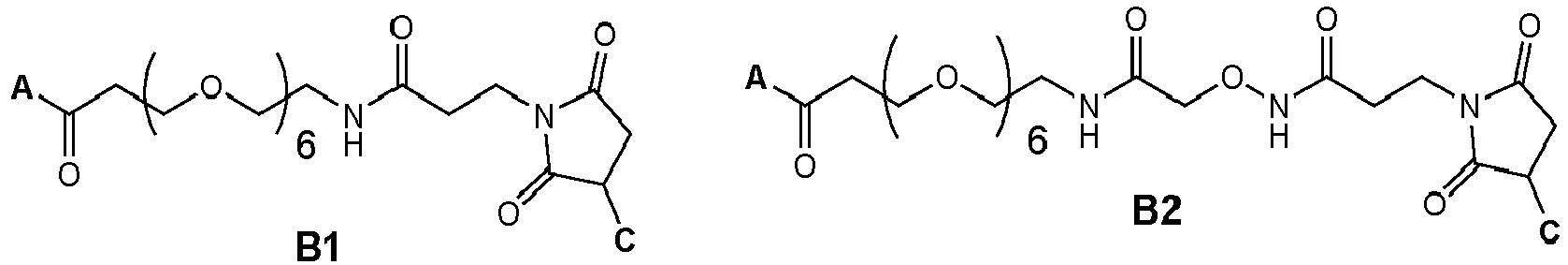 Figure imgb0164