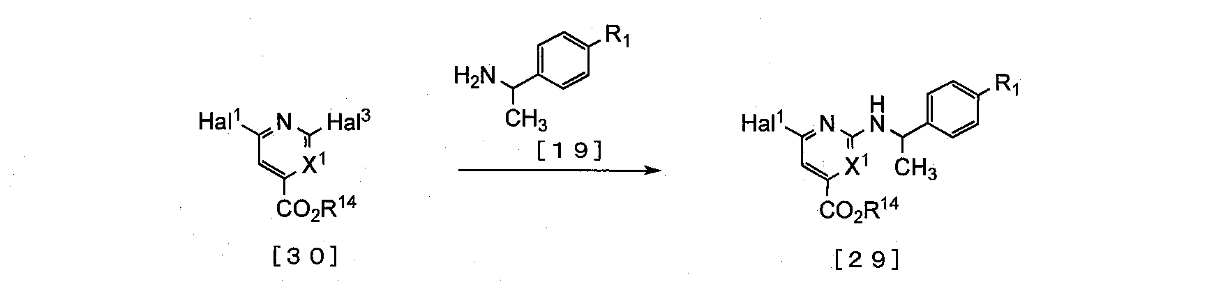 Figure JPOXMLDOC01-appb-C000063