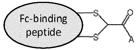 Figure imgb0055