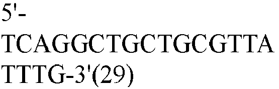 Figure imgb0029