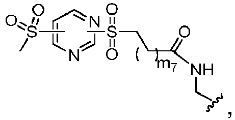 Figure imgb0063