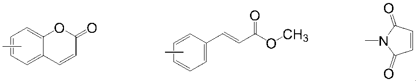 Figure JPOXMLDOC01-appb-C000019
