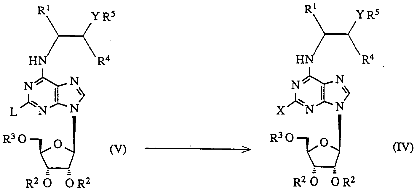 Figure imgf000012_0002