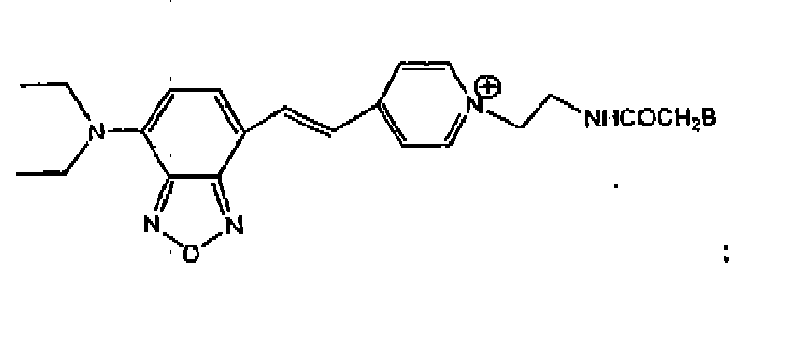 Figure imgb0069