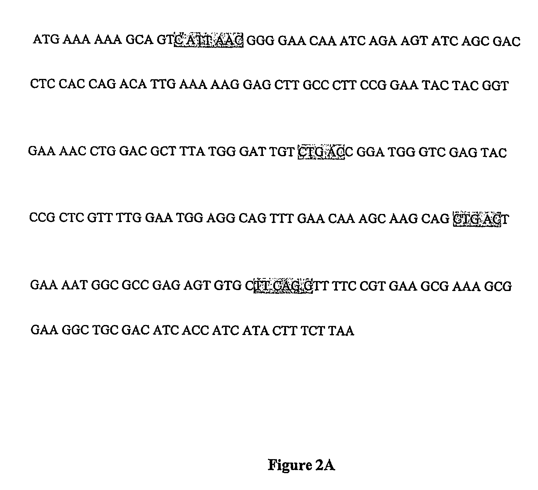 Ggt alto mas de 100 Ggt alto mas de 100