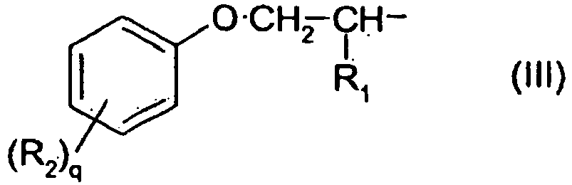 Figure imgb0009