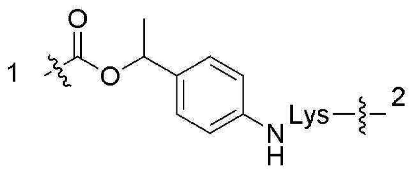 Figure pct00060