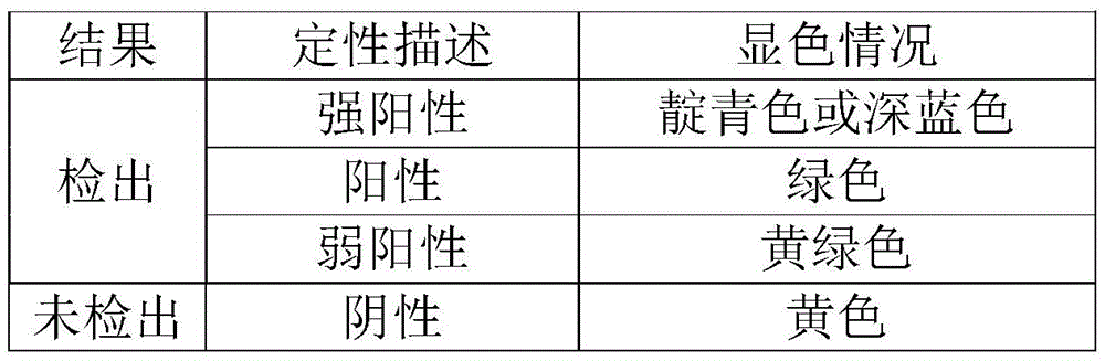 Figure BDA0002888280700000051