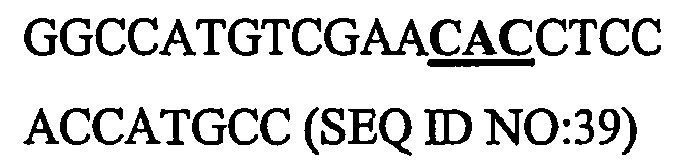 Figure imgb0008