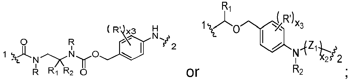 Figure imgb0572