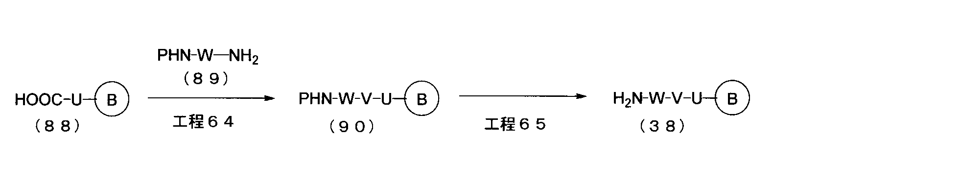 Figure JPOXMLDOC01-appb-C000048