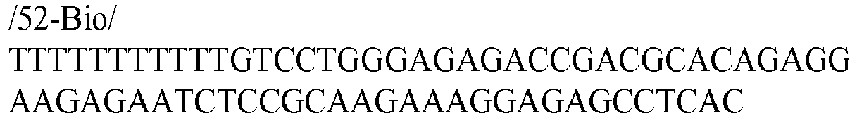 Figure imgb0088