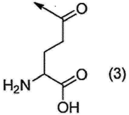 Figure imgb0003