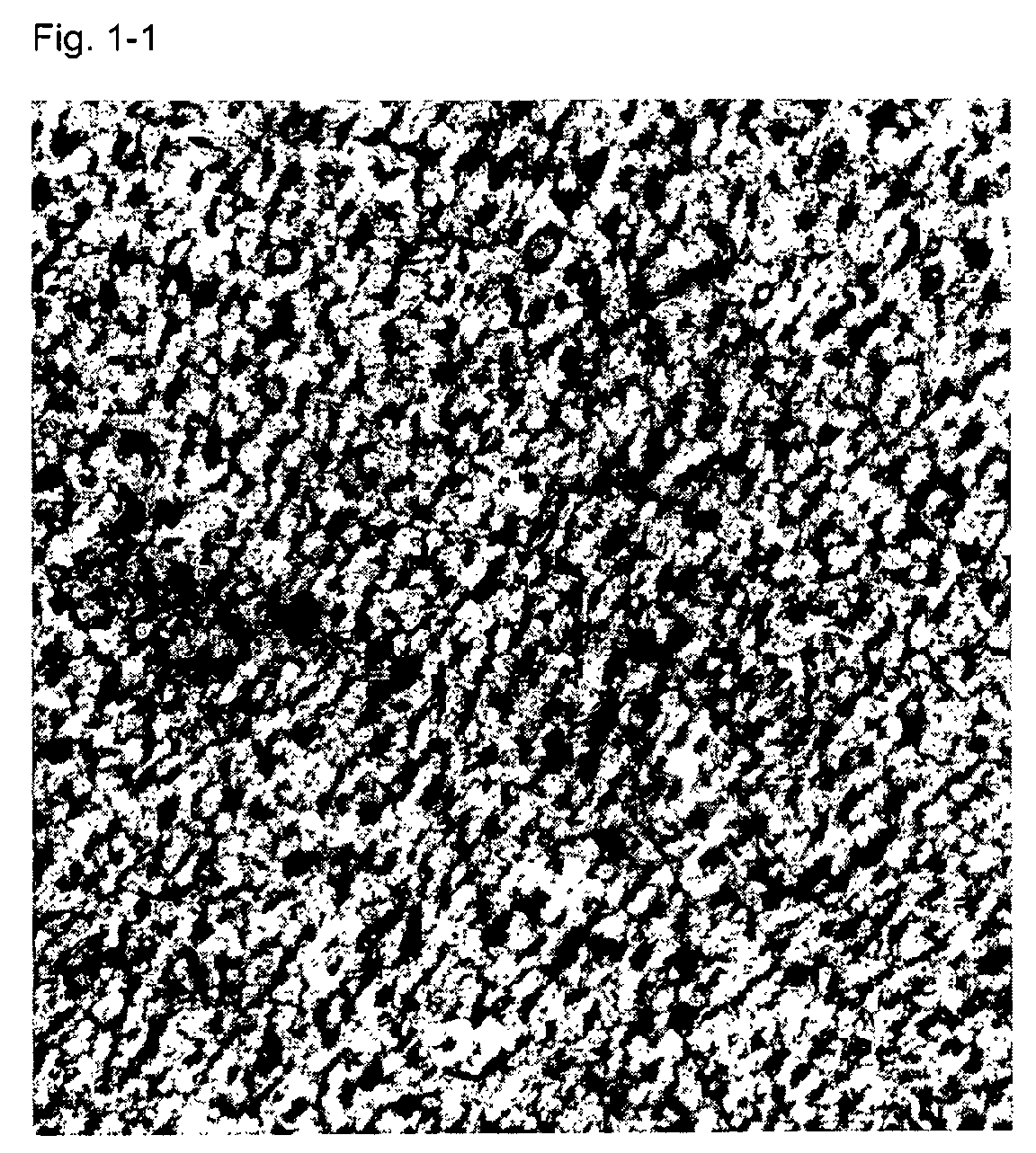 Figure 00000001
