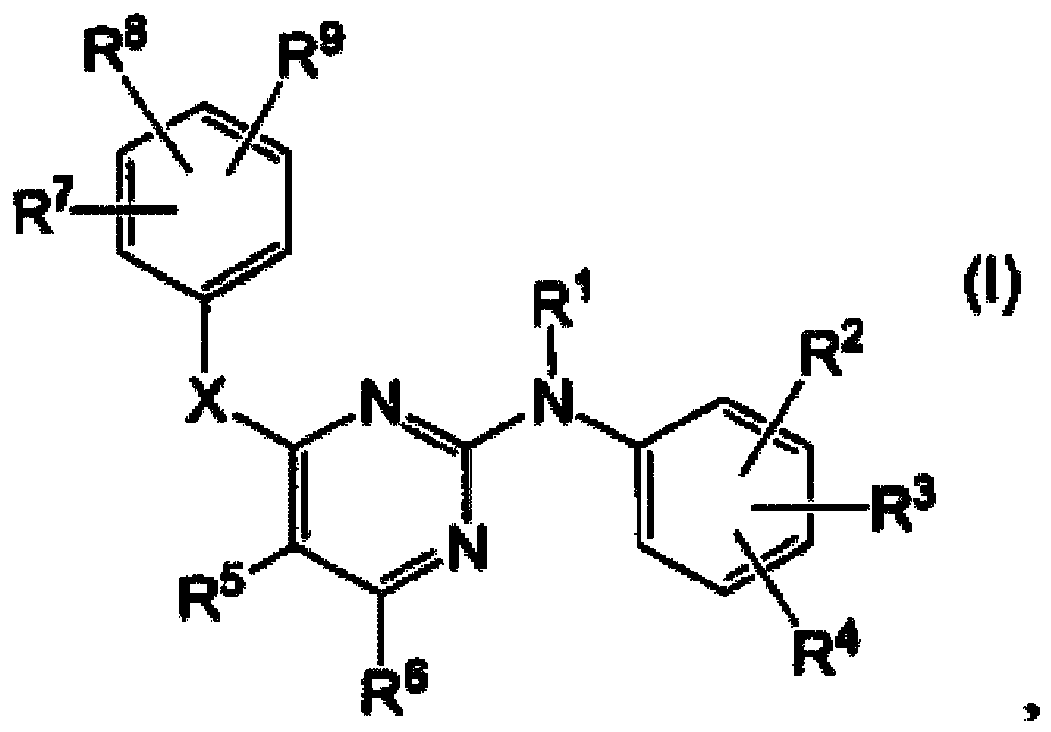 Figure imgb0079