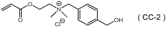 Figure JPOXMLDOC01-appb-C000046