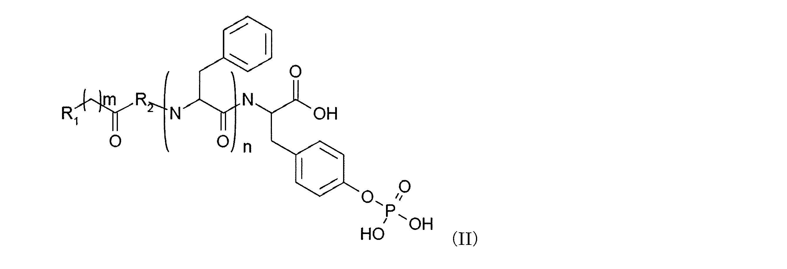 Figure JPOXMLDOC01-appb-C000010