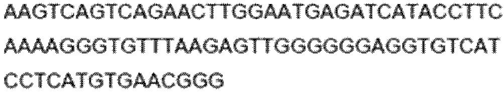 Figure imgb0092