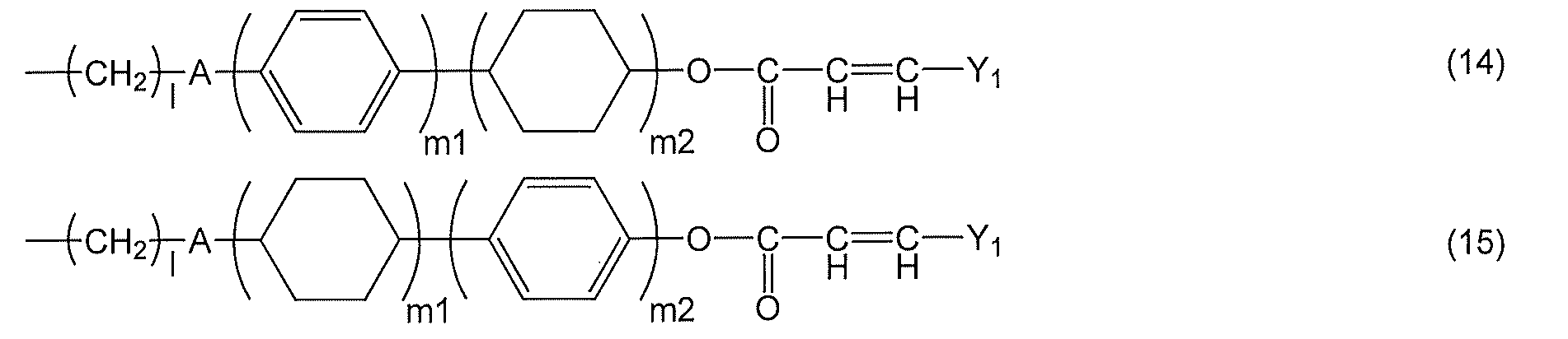 Figure JPOXMLDOC01-appb-C000013