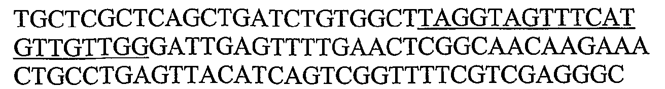 Figure imgb0216