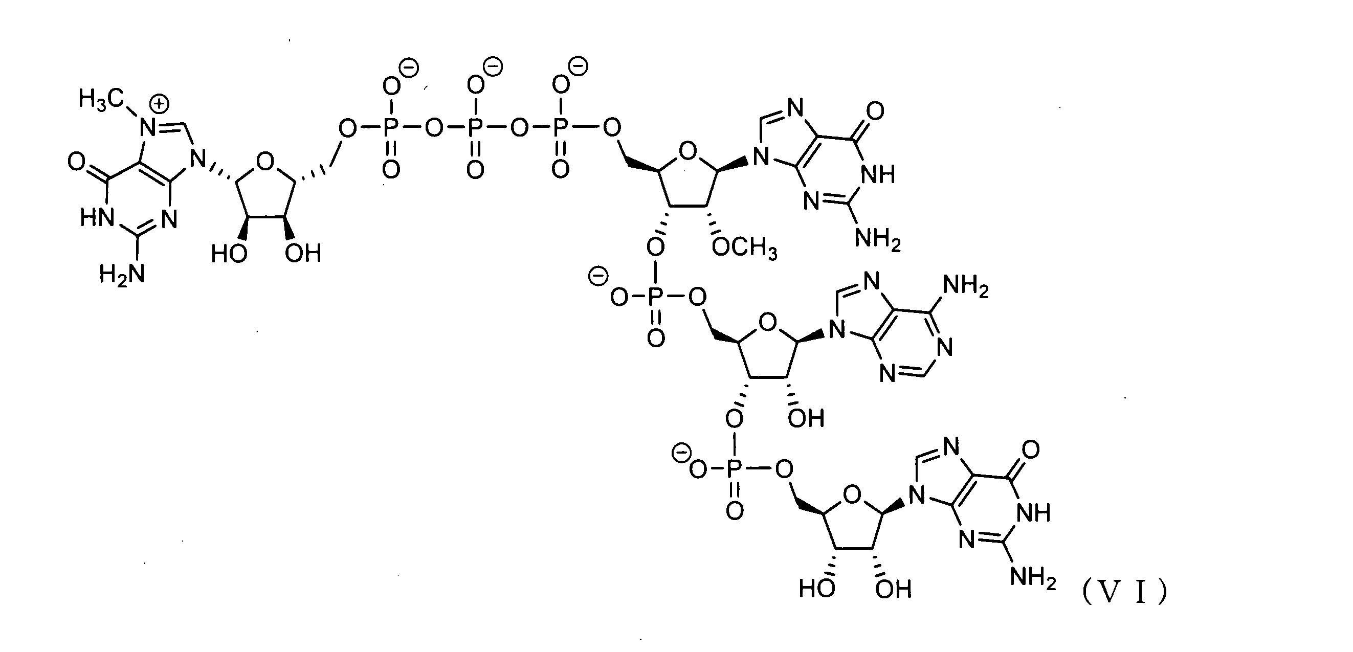 JP2022521094A - RNA polymerase variant for co-transcription JP2022521094A - RNA polymerase variant for co-transcription