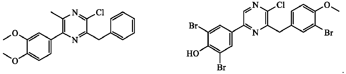 Figure imgb0048
