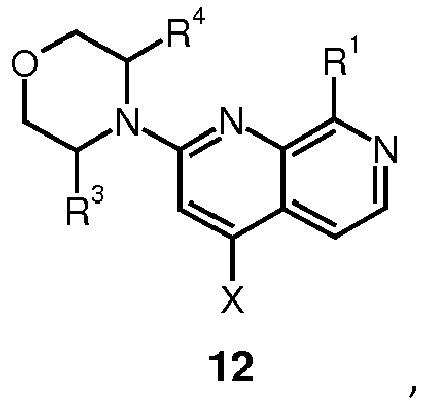 Figure imgb0056