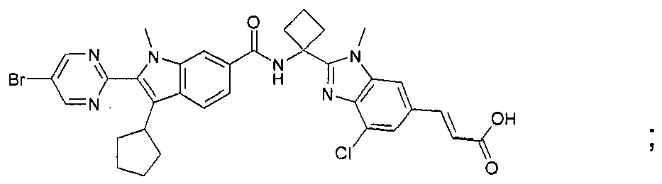 Figure imgb0673