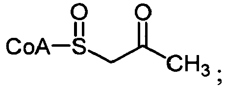 Figure imgb0094