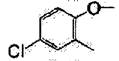 Figure imgb0024