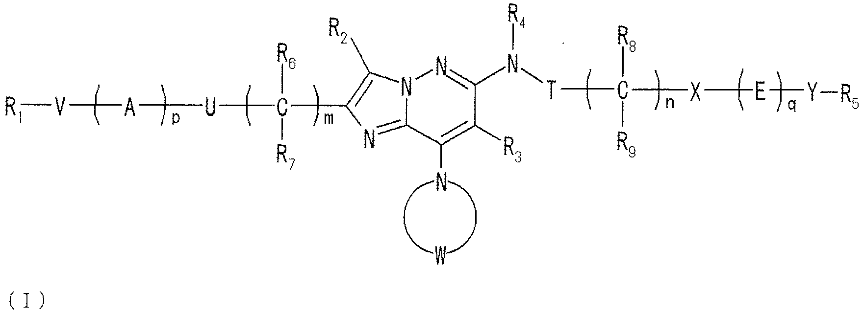 Figure imgb0001