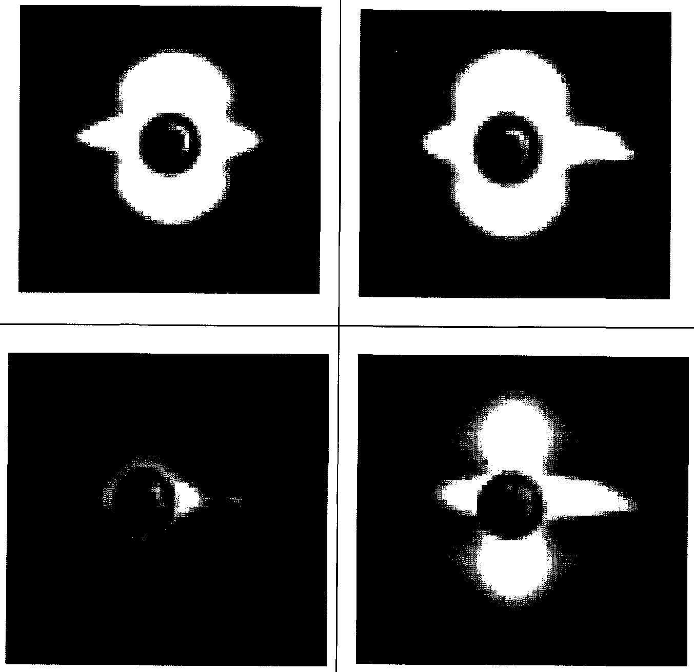 Figure imgf000049_0001