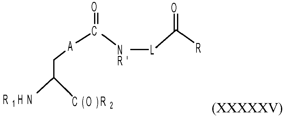 Figure imgb0061