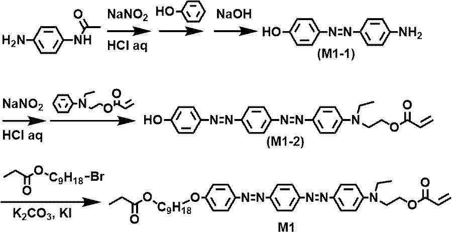 Figure JPOXMLDOC01-appb-C000030