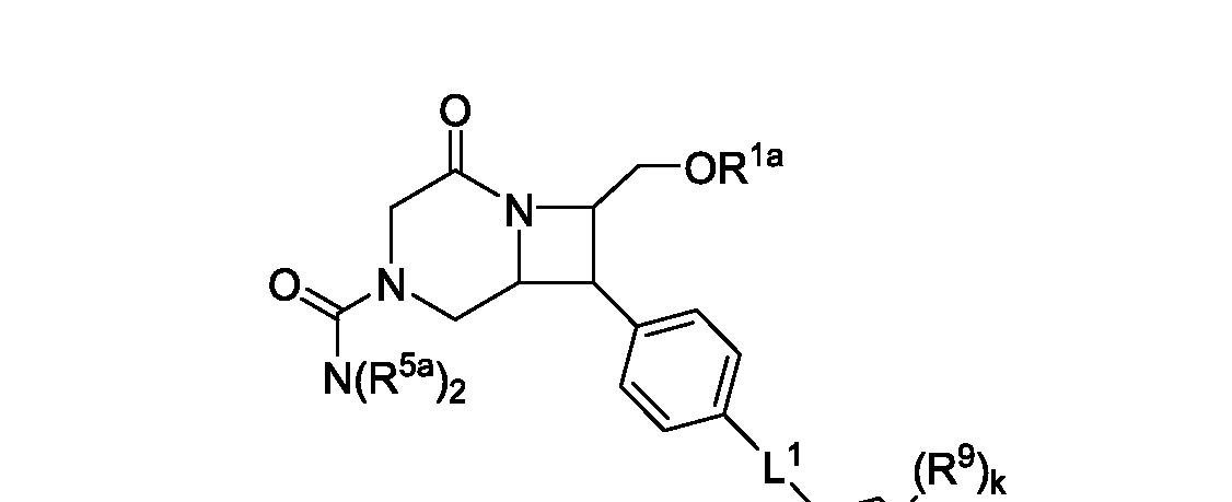 Figure imgf000071_0002
