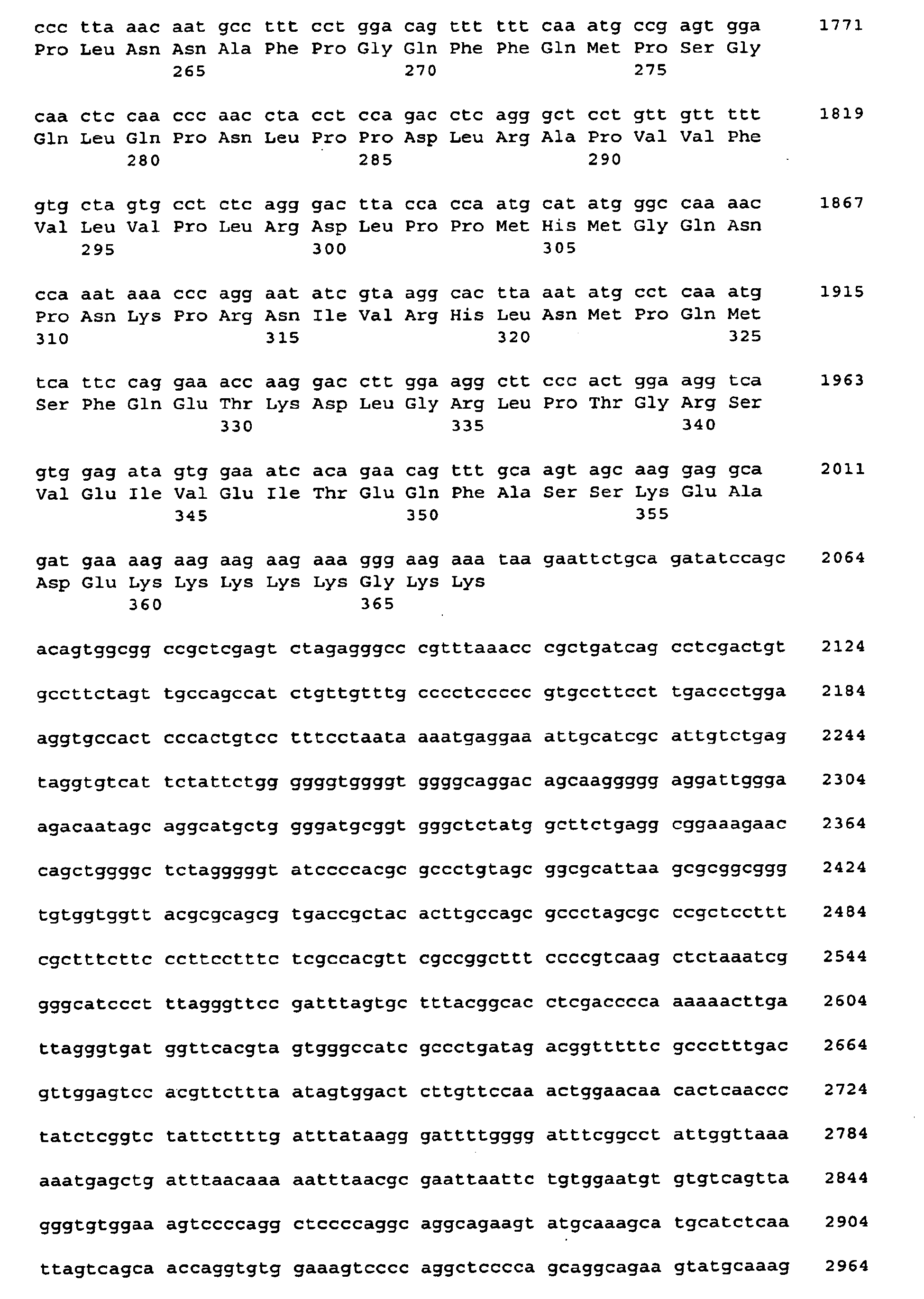 Figure imgb0019