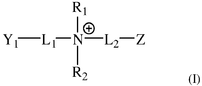 Figure imgb0022