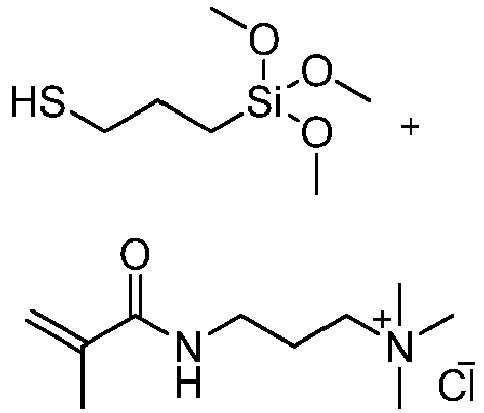 Figure imgb0013