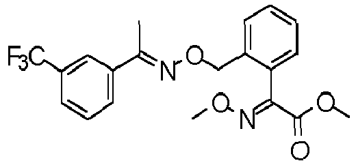 Figure imgb0575