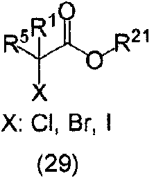 Figure imgf000056_0002