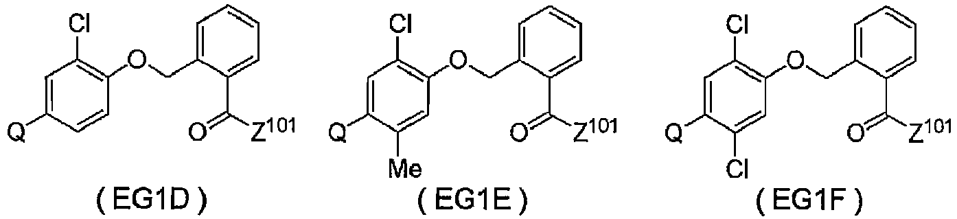 Figure imgb0145