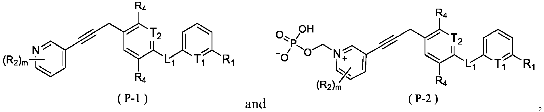 Figure imgb0113